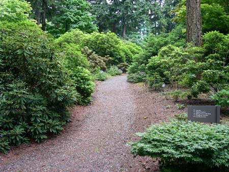 botanical garden