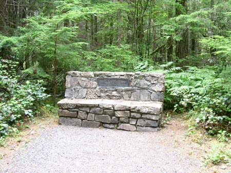 federation forest park
