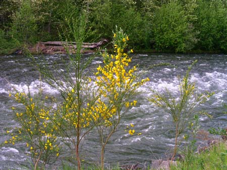game farm wilderness park, white river