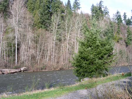 game farm wilderness park, white river
