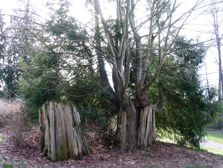 game farm wilderness park