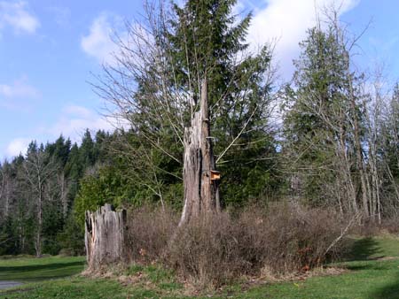 game farm wilderness park