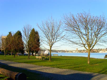 south lake union park