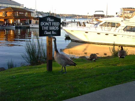 south lake union park
