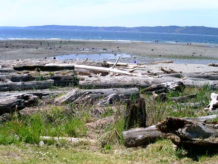 saltwater state park