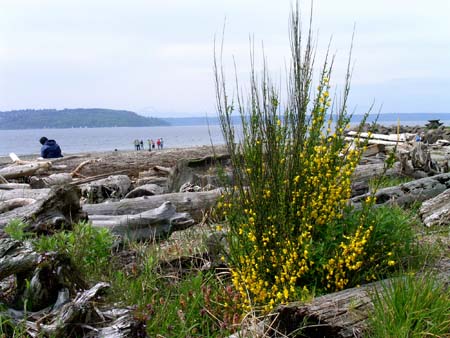 saltwater state park