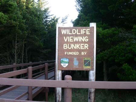 wildliff viewing bunker