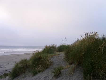pacific ocean, oregon coast